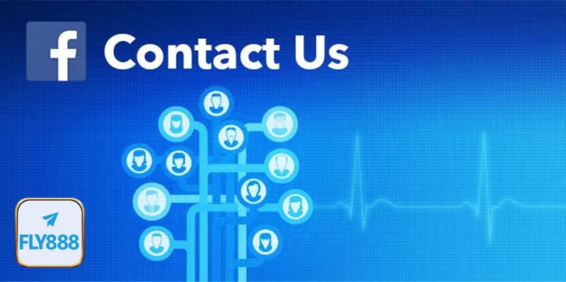 Liên Hệ Fly888 - Tìm hiểu dịch vụ và thao tác cơ bản