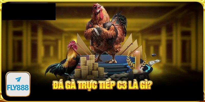 Đá gà đòn - Nhìn vào thể lực và độ lì