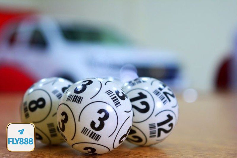 Xổ số Fly888 - Xổ số Fly888 và cảm nhận tổng thể khi tham gia Xổ số Fly888 - Xổ số Fly888 và cảm nhận tổng thể khi tham gia