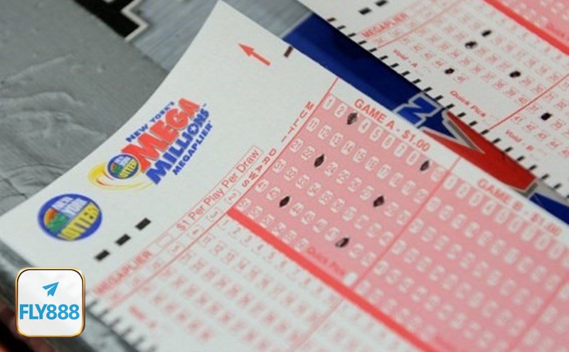 Mơ thấy rắn - Biểu tượng của sự thay đổi và trực giác